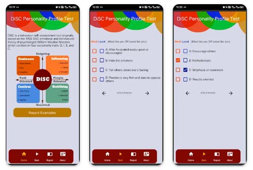 روانشناسی دانلود اپلیکیشن DISC (دیسک)